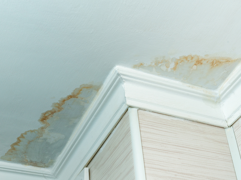 A water stain on a ceiling caused by an undetected roof leak.